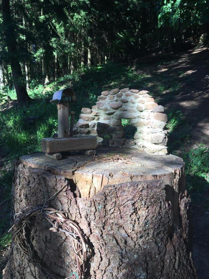 Waldnest Odenwald Hotel Kültér fotó