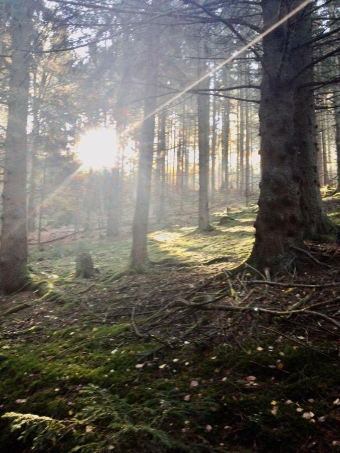 Waldnest Odenwald Hotel Kültér fotó