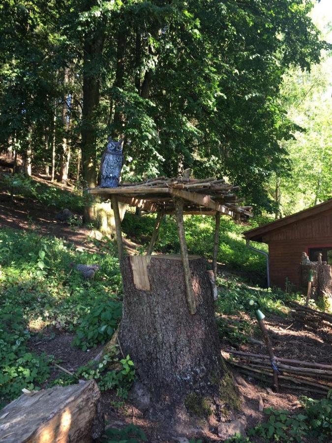 Waldnest Odenwald Hotel Kültér fotó
