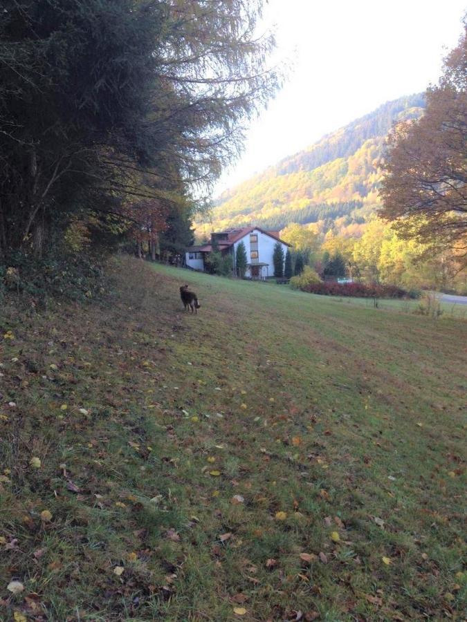 Waldnest Odenwald Hotel Kültér fotó