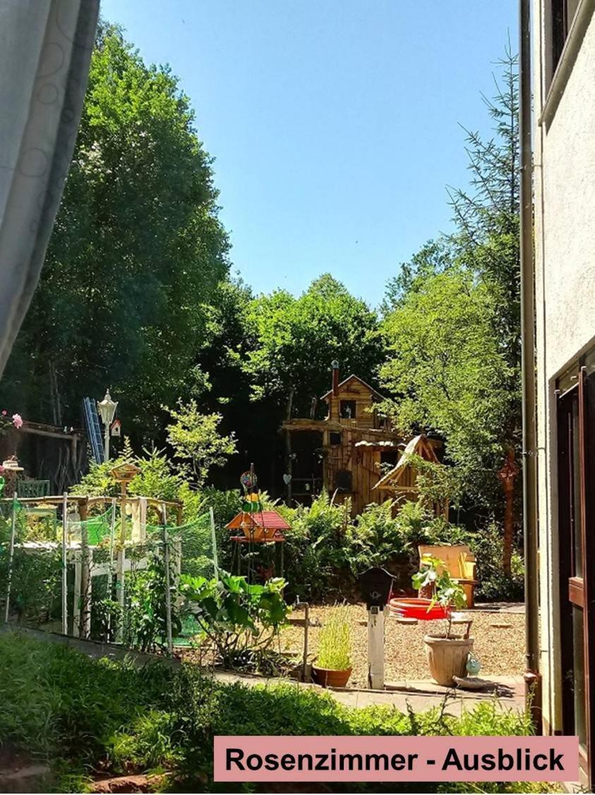 Waldnest Odenwald Hotel Kültér fotó